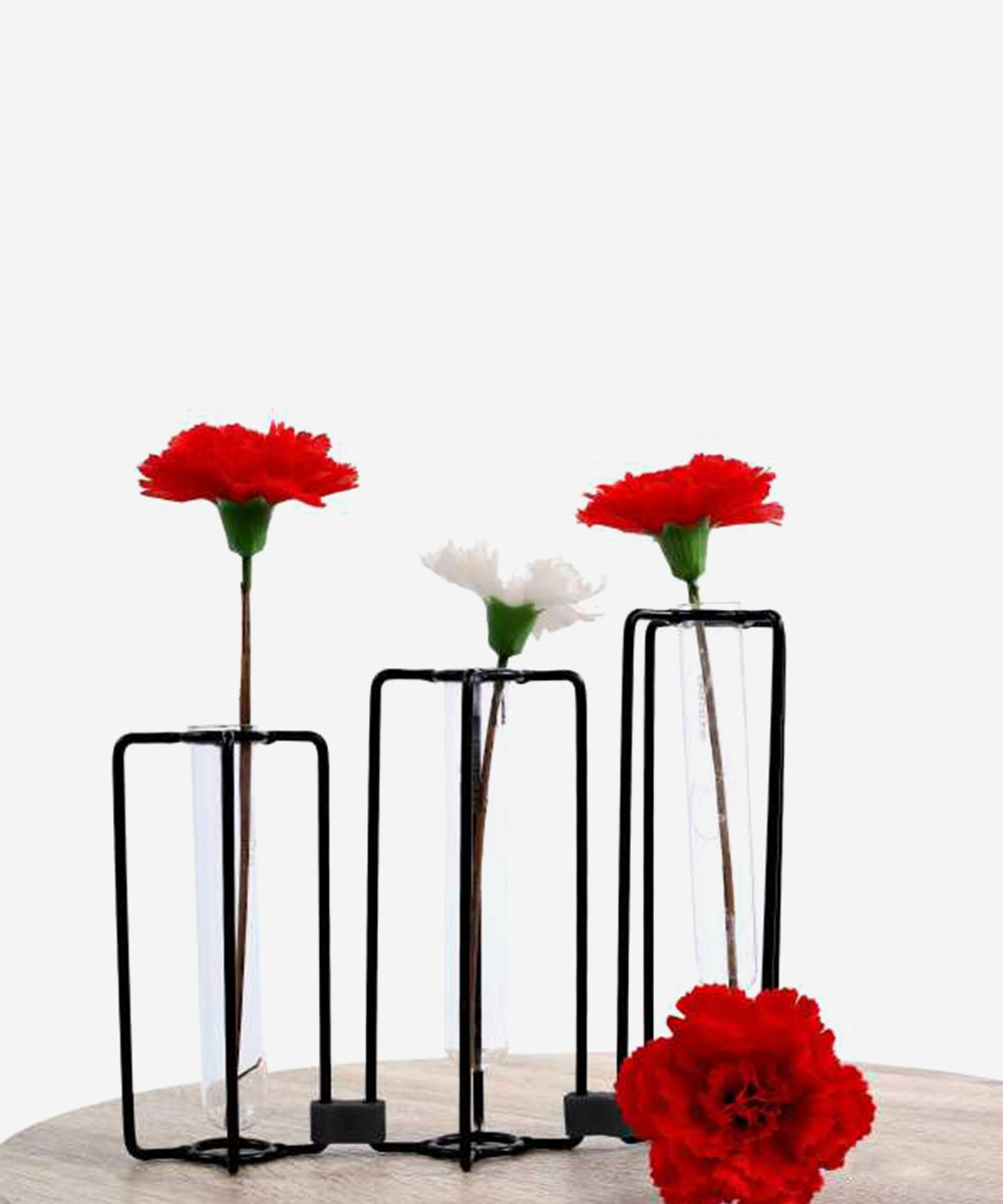 Oder Test Tube Vase Set Black TidyHomz