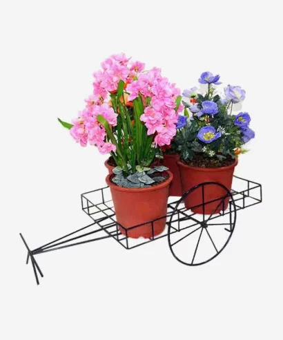 Sabine Bullock Cart Big