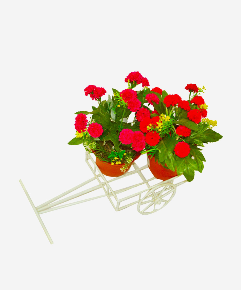 Sabine Bullock Cart (Small)- White