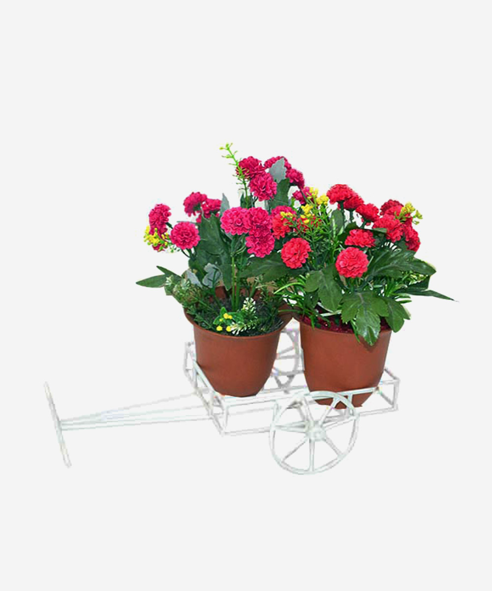 Sabine Bullock Cart (Small)- White